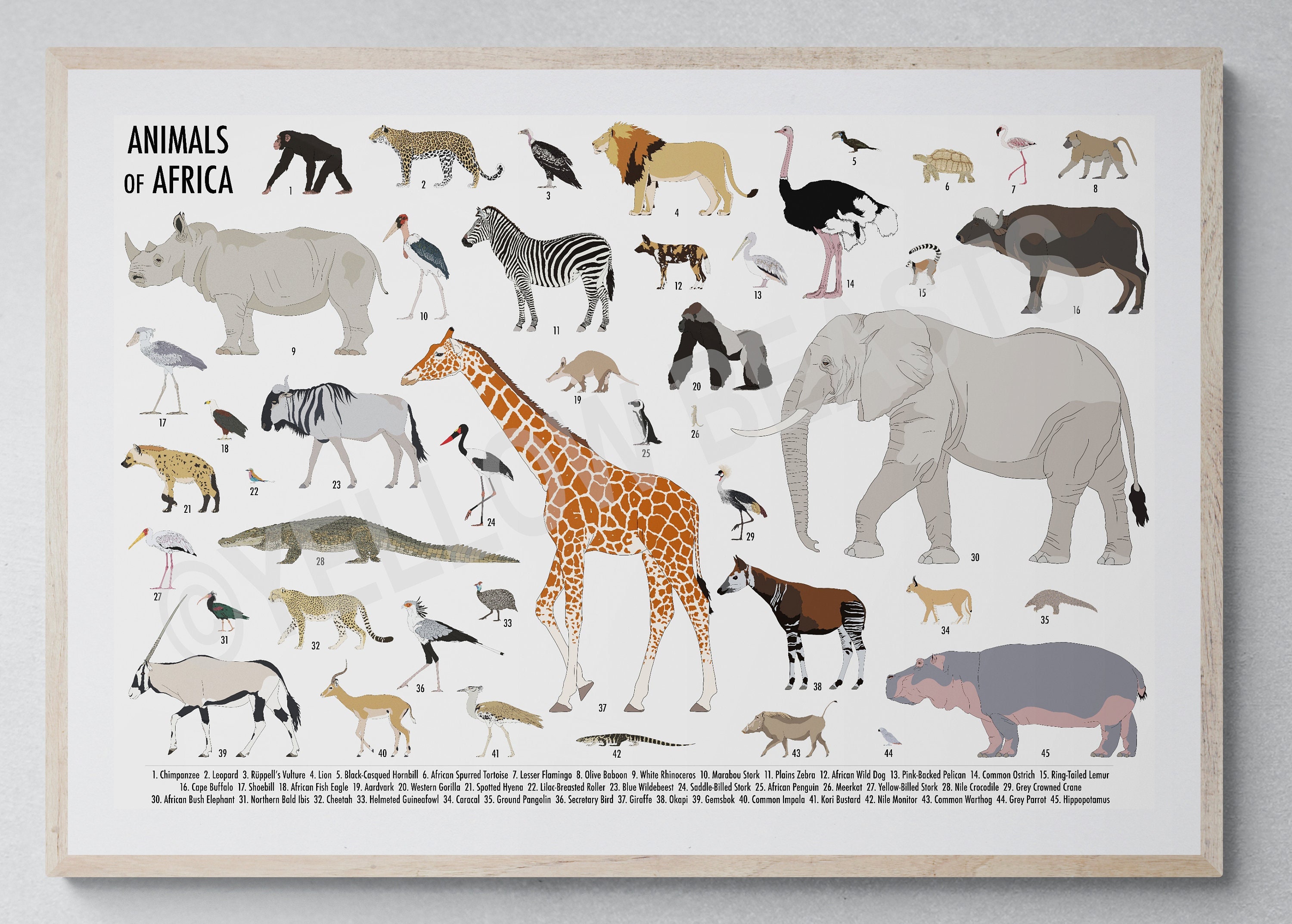 Animals of Africa Poster - Etsy