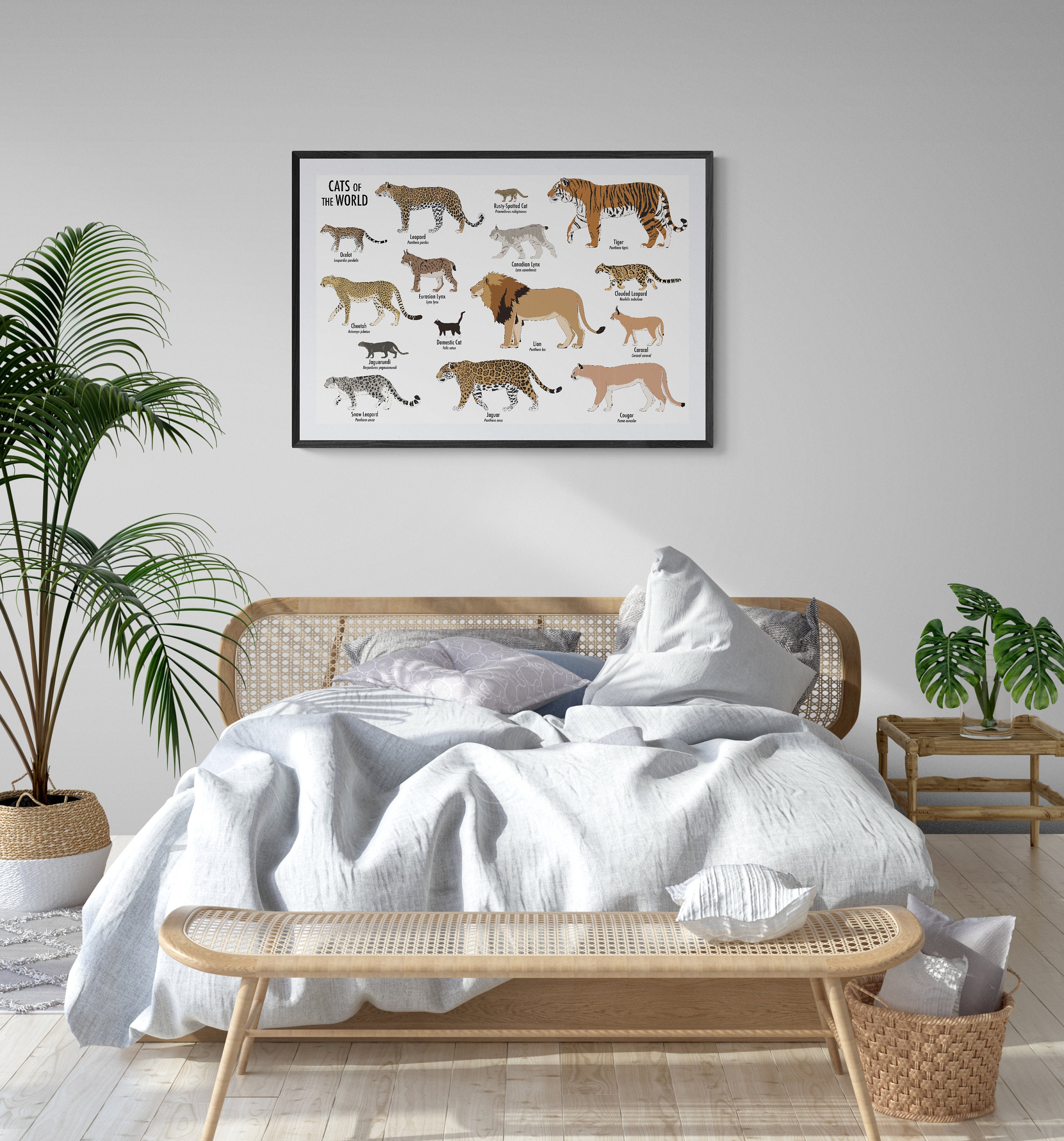 Cats of the World Poster - Etsy Finland