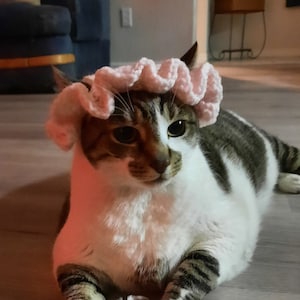 Gorro de gato de ganchillo