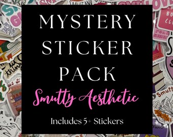 Smutty Book Sticker Set | Spicy Romance Reader Stickers for Laptops, Kindles, Water Bottles