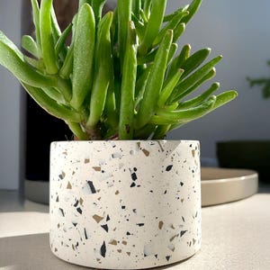 Terrazzo Flower Pot | Two Sizes | Jesmonite Terrazzo Planter