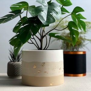Puede incluir: Una maceta de cerámica blanca con una banda de acento beige y dorada. La maceta tiene una superficie texturizada y está decorada con pan de oro. Una planta de monstera verde está creciendo en la maceta.