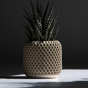 Kleiner Beiger Jesmonit Sukkulenten Topf: Handgemachter dekorativer Pflanzentopf