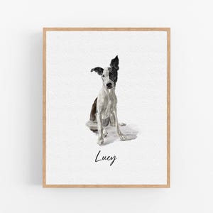 Op de afbeelding: Een aquarel van een zwart-witte hond genaamd Lucy. De hond zit met zijn hoofd gekanteld en kijkt naar de kijker. Het schilderij is ingelijst in een licht houten lijst.