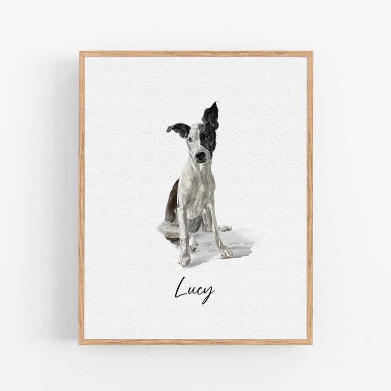 Op de afbeelding: Een aquarel van een zwart-witte hond genaamd Lucy. De hond zit met zijn hoofd gekanteld en kijkt naar de kijker. Het schilderij is ingelijst in een licht houten lijst.