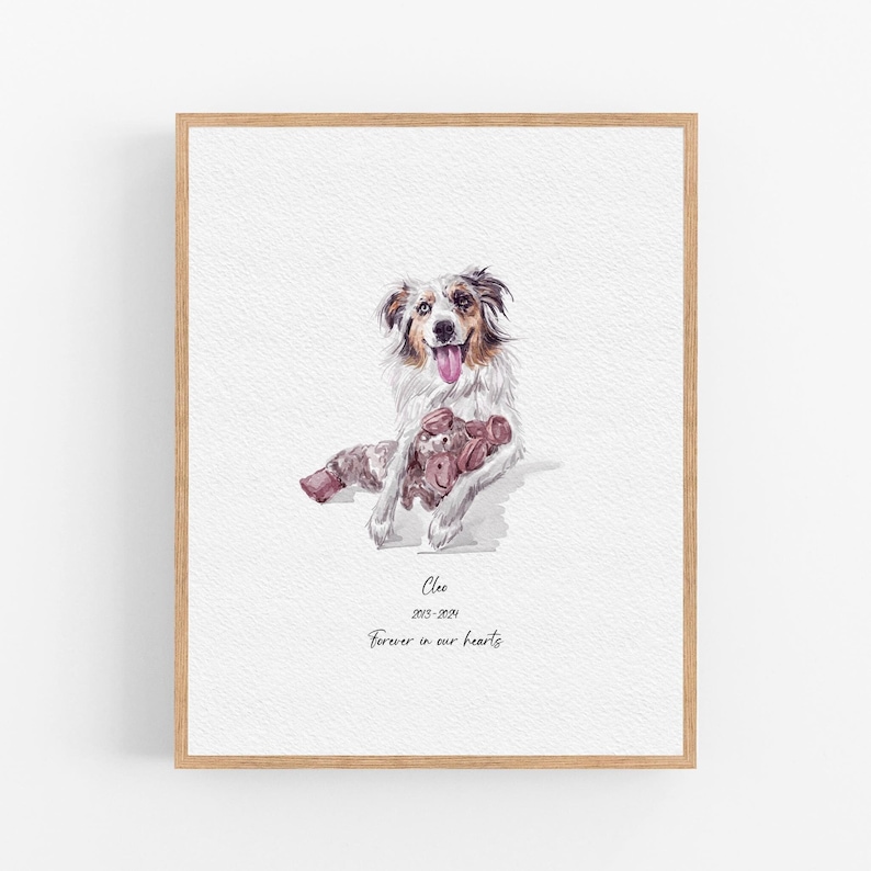 Op de afbeelding: Een aquarel van een wit-zwarte hond met bruine ogen, die een roze en bruin knuffeldier vasthoudt. De hond kijkt naar de kijker met zijn tong naar buiten. Het schilderij is ingelijst in een licht houten lijst. De tekst "Cleo 2013-2021 Forever in our hearts" staat onder de hond.