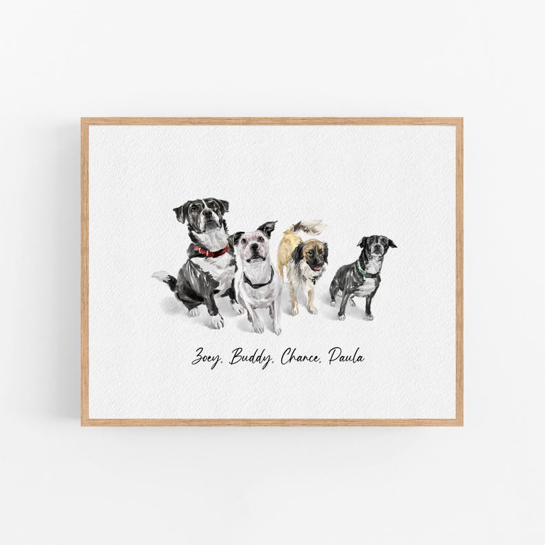 Op de afbeelding: Een aquarel schilderij van vier honden. De honden zijn allemaal van verschillende rassen en kleuren. De honden staan in een rij, en hun namen staan eronder: Zoey, Buddy, Chance, Paula.