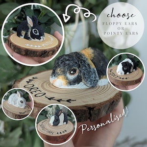 Hand Painted Stonecast Rabbit Ornament: Personalised Memorial Gift Rainbow Bridge Keepsake