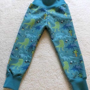 May include: Blue children's pants with a dinosaur print. The pants have a wide elastic waistband and cuffed ankles.