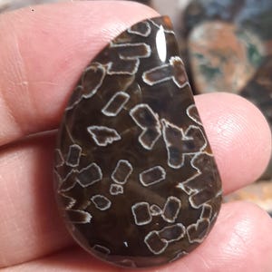 Stick agate cabochon