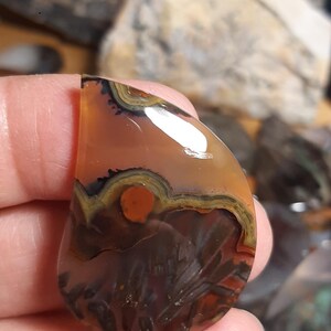 Peusedemorph stick agate cabochon