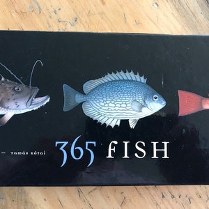Fish- Illustrated