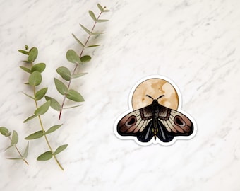 Motten Magnet - Outdoorsy Magnet - Natur Liebhaber Geschenk - Entomologie Dekor - Kühlschrank Magnet - Einzigartiges Geschenk für Motten Enthusiasten