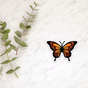 Magnet | Butterfly | Fridge magnet | Outdoorsy Magnet | Locker Magnet | Fridge Magnet | Lightweight Magnet |
