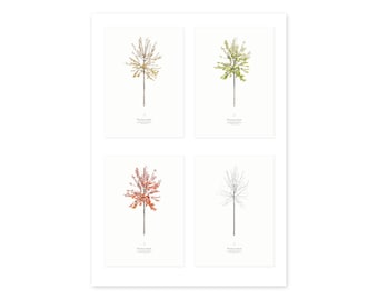 TreeArt - Cherry tree in seasons, 4 photographs as artprint or poster