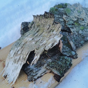 Large Birch Bark, Nordic, Birch Straps, Rustic White Birch