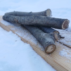 Op de afbeelding: Vier houten stammen met ruwe schors liggen op een lichtgekleurde houten plank. De stammen variëren in lengte en diameter, met zichtbare snijvlakken. De scène speelt zich buiten af, met sneeuw op de grond.