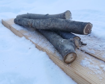 Hund Kaustab, Natur Holz Spielzeug für Hund, Nordisch