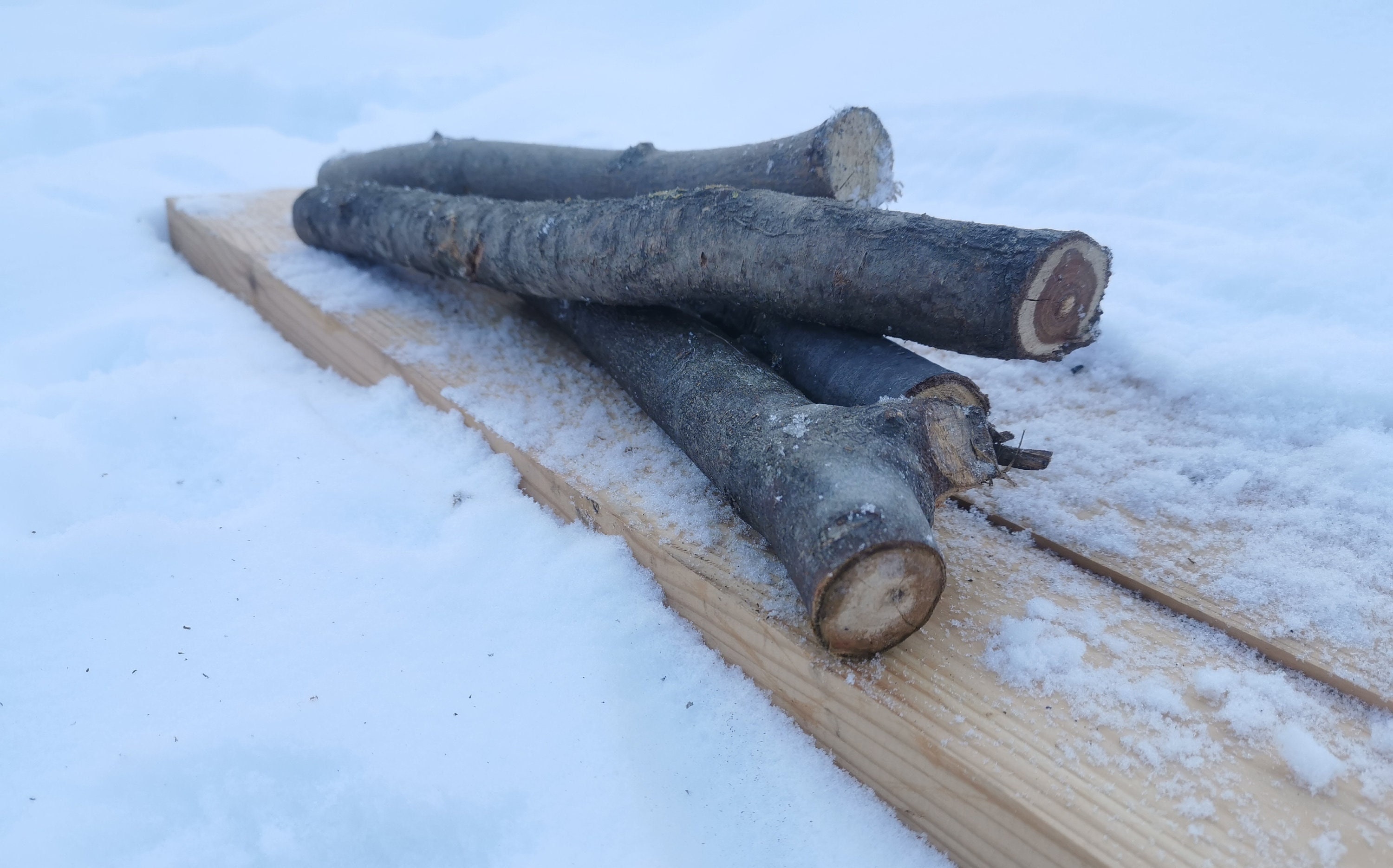 Natural Wood Throwing Stick for Dogs - Nordic Foraged Fetch & Chew Toy