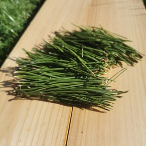 Pine needles, Fresh Organic, Eco Friendly, Nordic