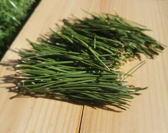 Agujas de pino, Orgánico fresco, Ecológico, Nórdico