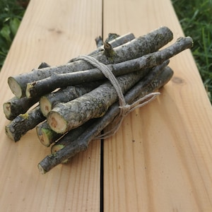 Bastoncini di legno di pioppo, bastoncini da masticare biologici di pioppo per animali domestici, nordici