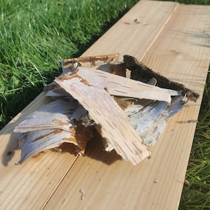 Birch Bark, Natural Bark, Nordic, Birch Straps, Rustic White Birch