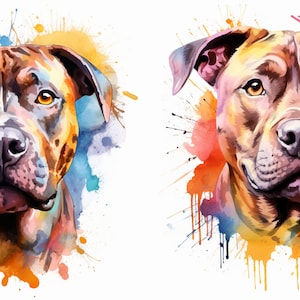 PNG set of two water colour splash staffy dog staffordshire bull terrier commercial use digital art print sublimation tumbler tshirt sticker