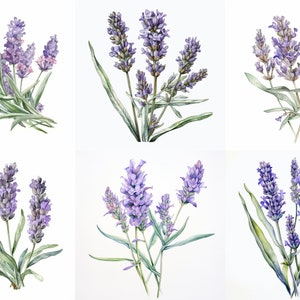 PNG set of six lavender flowers wedding stationary save the date scrapbook memory sublimation floral junk journal logo commercial use
