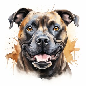 PNG Staffordshire bull terrier staffy dog watercolor mud splash sublimation clip art commercial use transparent background