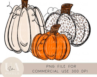 Calabaza PNG Descarga instantánea imprimible / Calabaza dibujada a mano Png / Calabaza leopardo Png para sublimación / Calabaza Clip Art Png