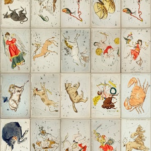 ヴィンテージ天文図、星図版、天体壁画、宇宙アート、銀河星図ホームデコレーション、1831年シドニー・ホールの星図版