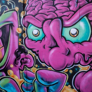 May include: A colourful graffiti mural depicting two cartoon faces. One face is green with a wide, toothy grin and the other is pink with a brain-like texture and large, green eyes.
