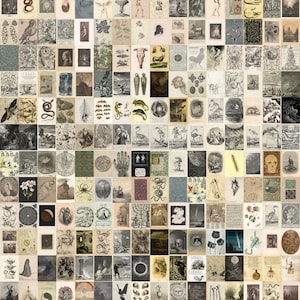 May include: A collage of vintage illustrations featuring various natural and mythical creatures, including snakes, birds, insects, and fantastical beings. The images are in black and white and have a detailed, intricate style.