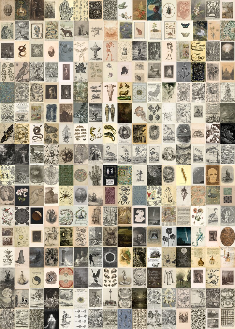 May include: A collage of vintage illustrations featuring various natural and mythical creatures, including snakes, birds, insects, and fantastical beings. The images are in black and white and have a detailed, intricate style.