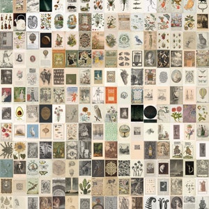 May include: A collage of vintage illustrations and images featuring a variety of subjects, including nature, animals, plants, and celestial objects. The images are in black and white and sepia tones, and they are arranged in a grid pattern.