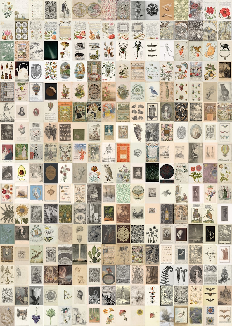 May include: A collage of vintage illustrations and images featuring a variety of subjects, including nature, animals, plants, and celestial objects. The images are in black and white and sepia tones, and they are arranged in a grid pattern.