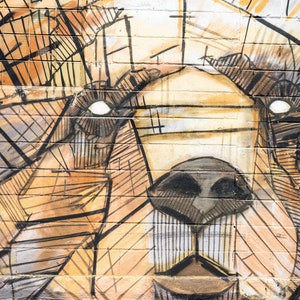May include: A close-up of a brown and black bear face drawn on a brick wall. The bear's eyes are white and the nose is black. The drawing is done in a geometric style with lines and shapes.