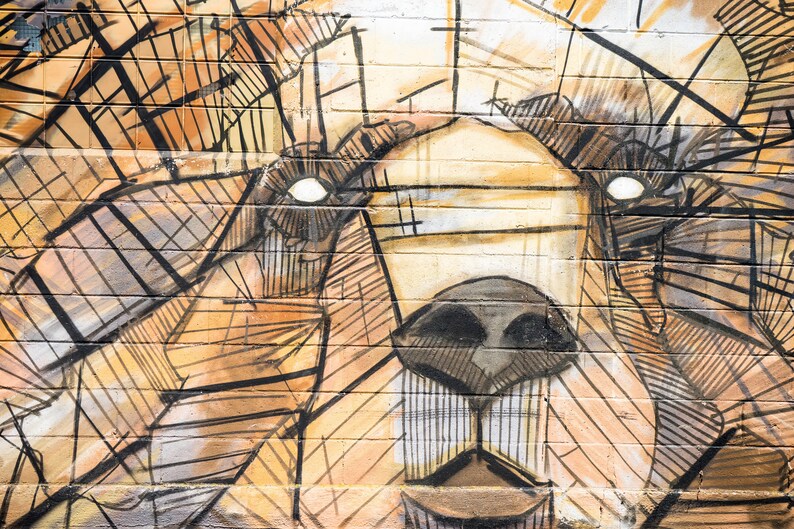 May include: A close-up of a brown and black bear face drawn on a brick wall. The bear's eyes are white and the nose is black. The drawing is done in a geometric style with lines and shapes.