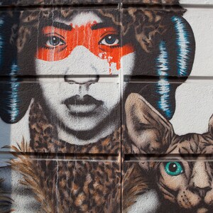 May include: A colourful street art mural depicting a woman with a leopard print fur coat and a blue and white patterned headband. She has red and orange makeup around her eyes. A hairless cat with green eyes is painted next to her.