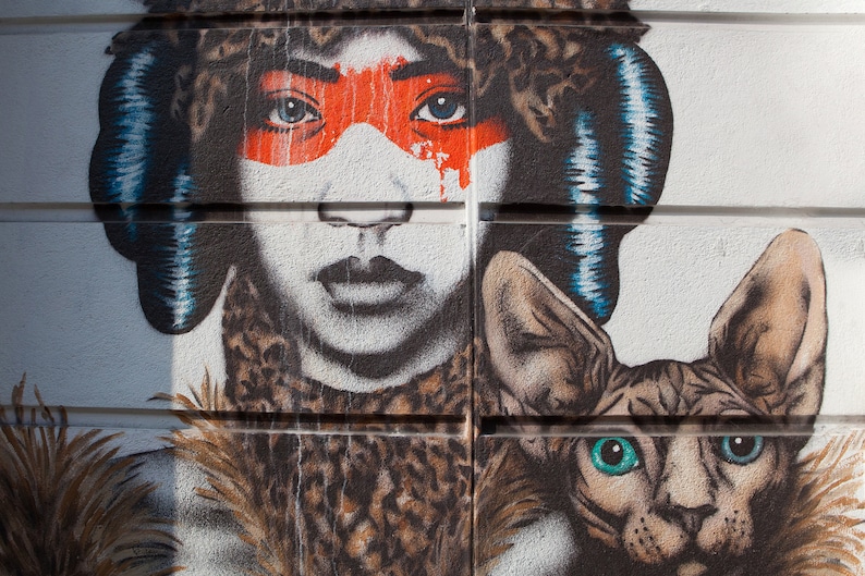 May include: A colourful street art mural depicting a woman with a leopard print fur coat and a blue and white patterned headband. She has red and orange makeup around her eyes. A hairless cat with green eyes is painted next to her.