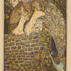 May include: Two brown owls with yellow eyes perched on a brick wall with green vines. A peacock with blue and green feathers is behind the owls.