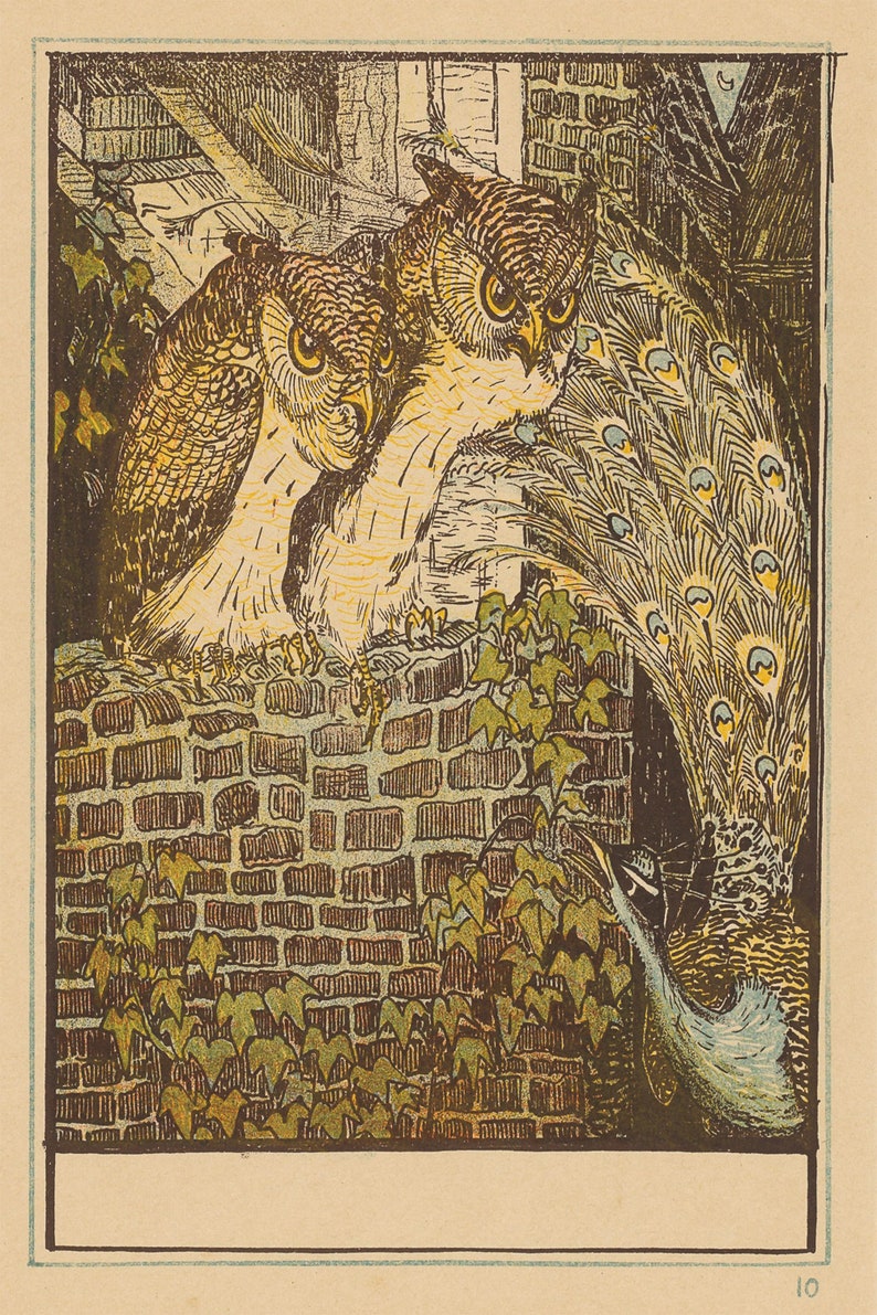 May include: Two brown owls with yellow eyes perched on a brick wall with green vines. A peacock with blue and green feathers is behind the owls.