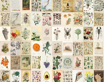 Vintage Floral Posters, Botanical Plant Print Set, Antique Garden Wall Art, Rustic Cottagecore Room Decor, Farmhouse Gallery