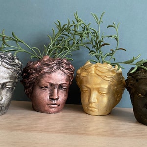 Angel face head stone planter pot, Goddess planter pot  , small succulent planters UK, concrete indoor planter pot, concrete pots