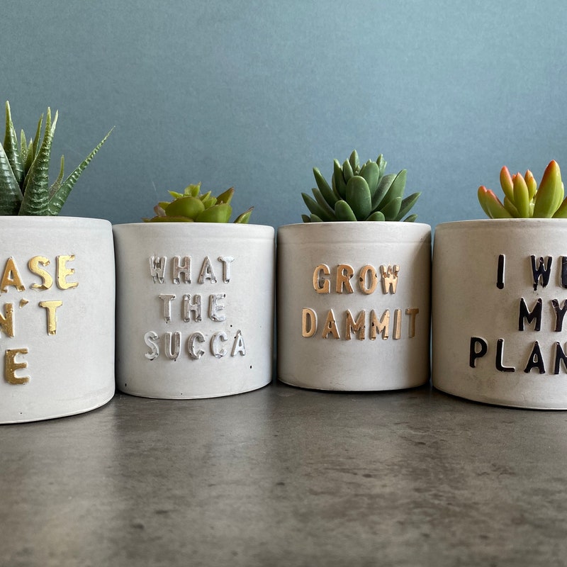 Funny Plant Pot - Etsy