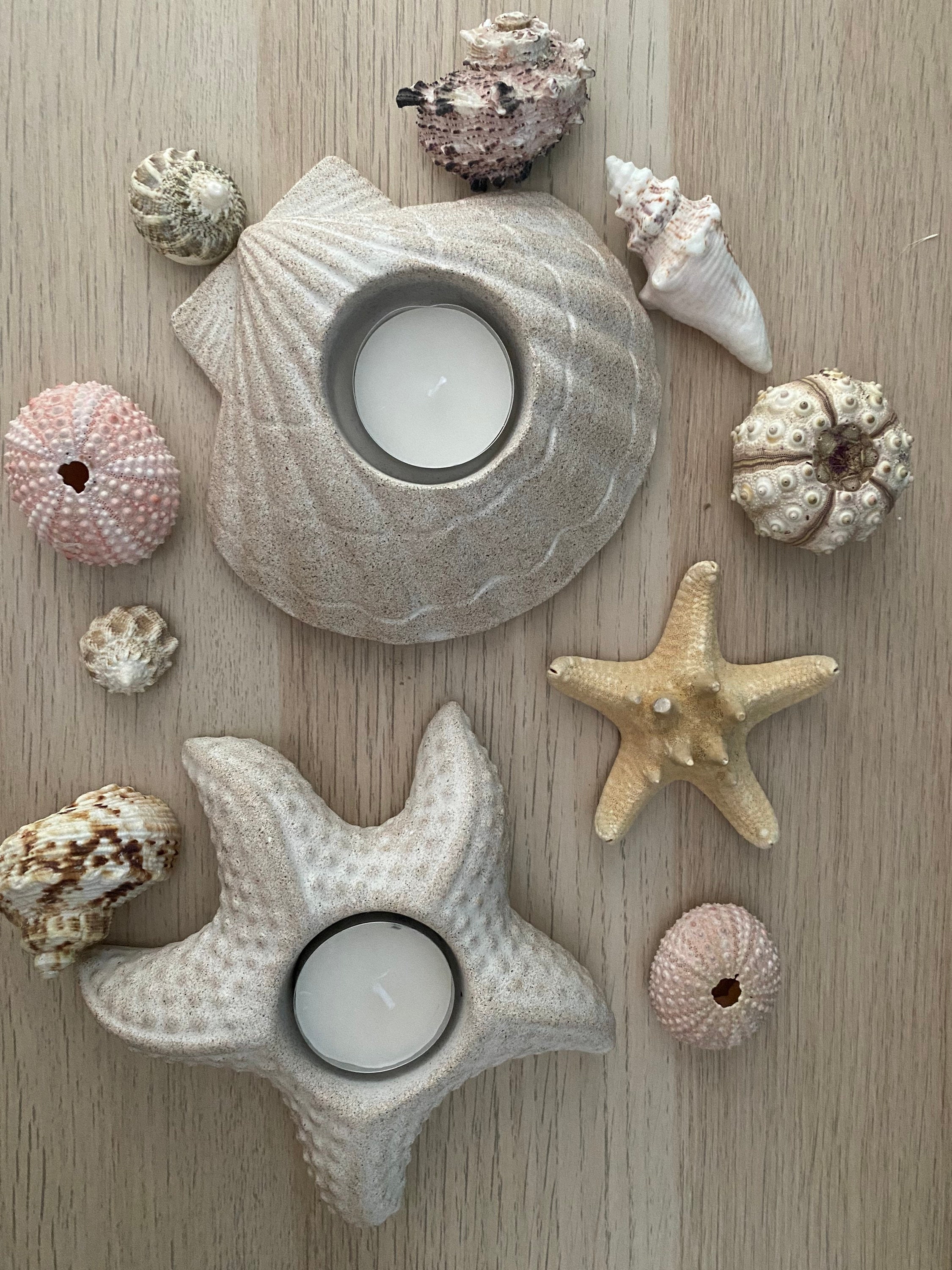 Plaster of Paris Crafts - Miniature Seashells and Starfish Pictures