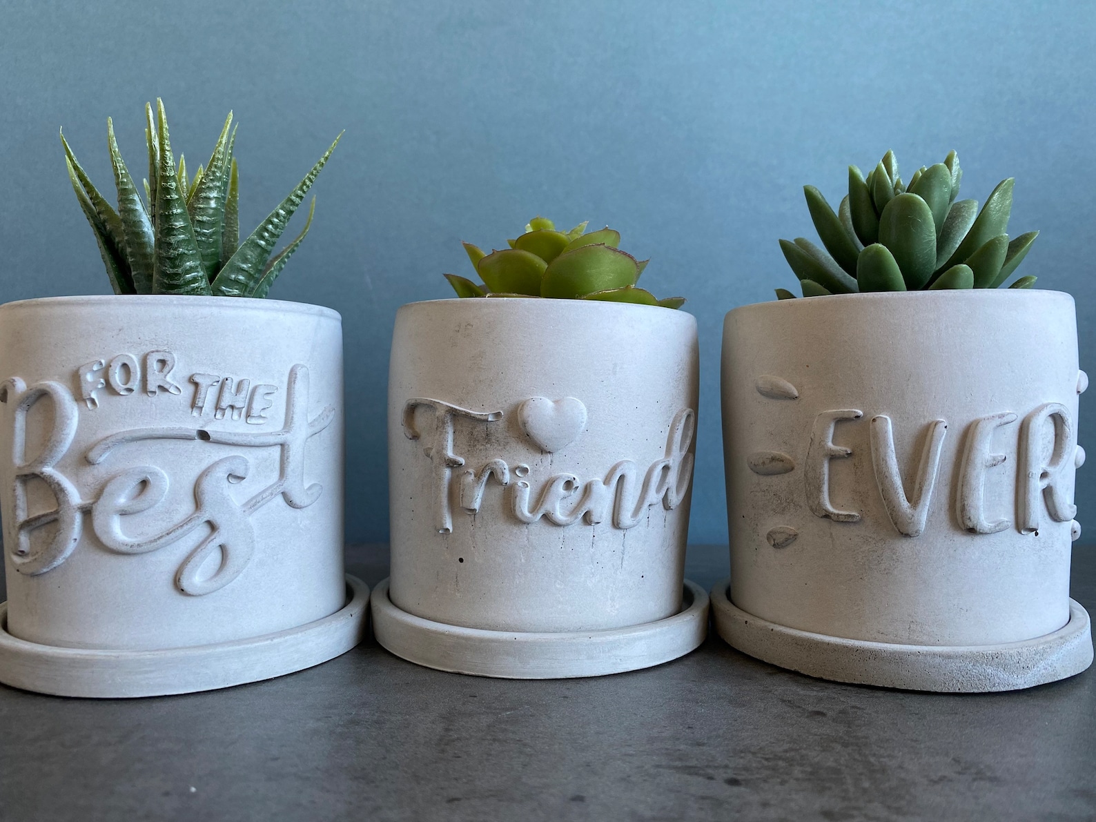 Funny Planters UK Funny Concrete Plant Pots UK Unique Design Etsy