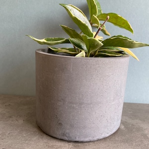 Large plant pot, planters and pots, concrete plant pot, concrete planter, house plant pot, plant lover, handmade planter, unique pots