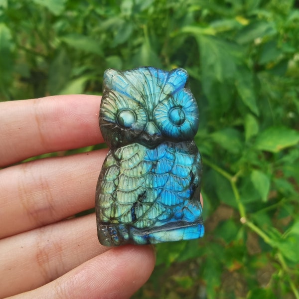 1PC Natural labradorite Owl, Crystal animal, Crystal carving, Crystal collection, Home Decoration, Home Decor , Crystal Heal, Crystal Gifts